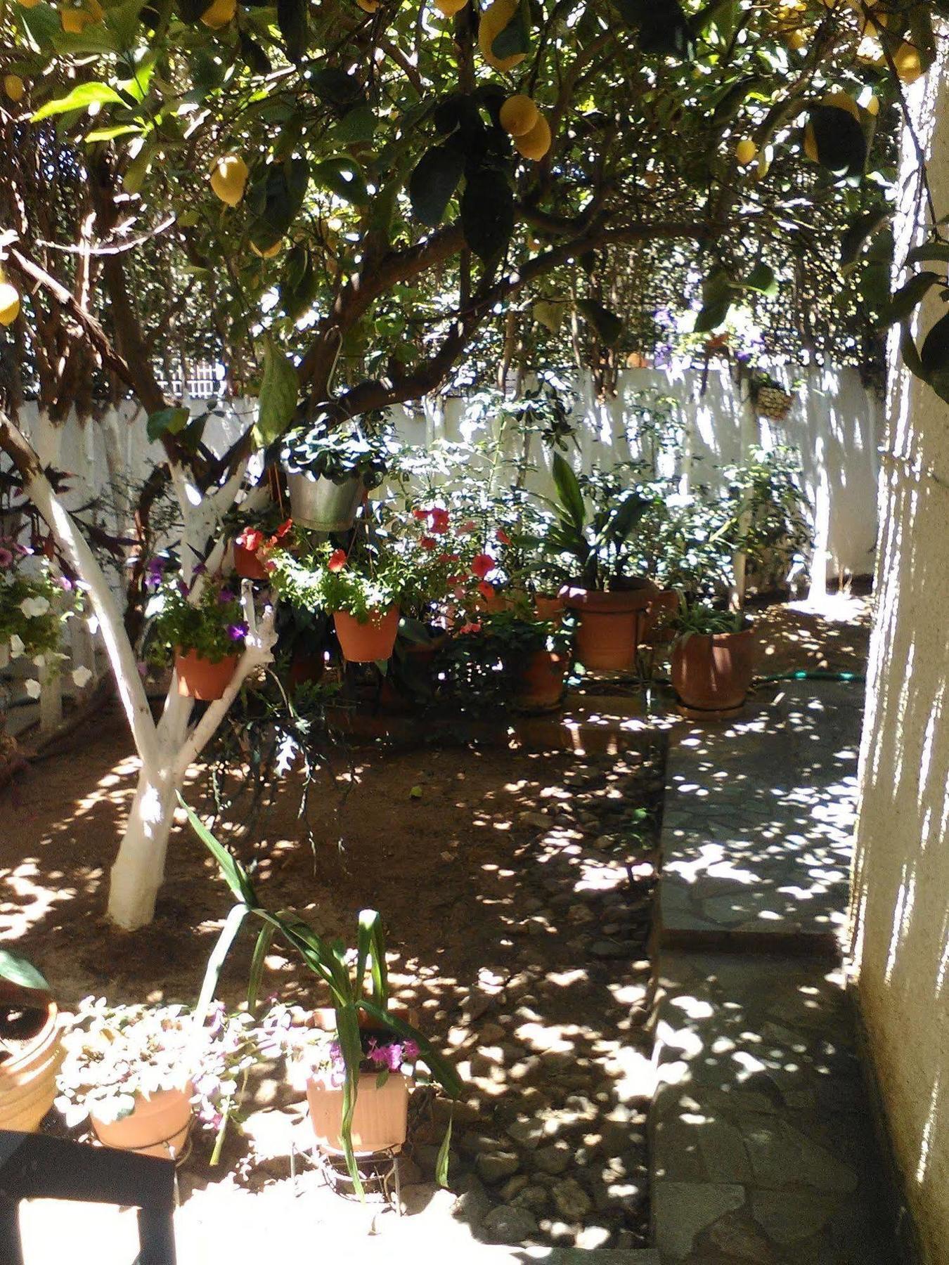 Aparthotel Iliahtides Amarynthos Extérieur photo